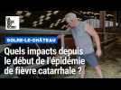 Quels impacts de un an après le début de l'épidémie de fièvre catarrhale dans les élevages ?