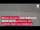 VIDEO. Cette habitante du Maine-et-Loire habite dans un appartement envahi par les cafards