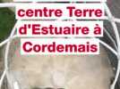 VIDÉO. Découvrez l'histoire de l'estuaire de la Loire avec Terre d'estuaire et sa montgolfière