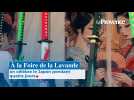 À la Foire de la Lavande on célèbre le Japon pendant quatre jours