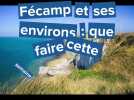Fécamp et ses environs : que faire cette semaine du 23 et 31 août ?