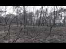 Mise en examen d'un homme pour l'incendie en forêt de Brocéliande