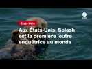 VIDEO. Aux États-Unis, Splash est la première loutre enquêtrice au monde
