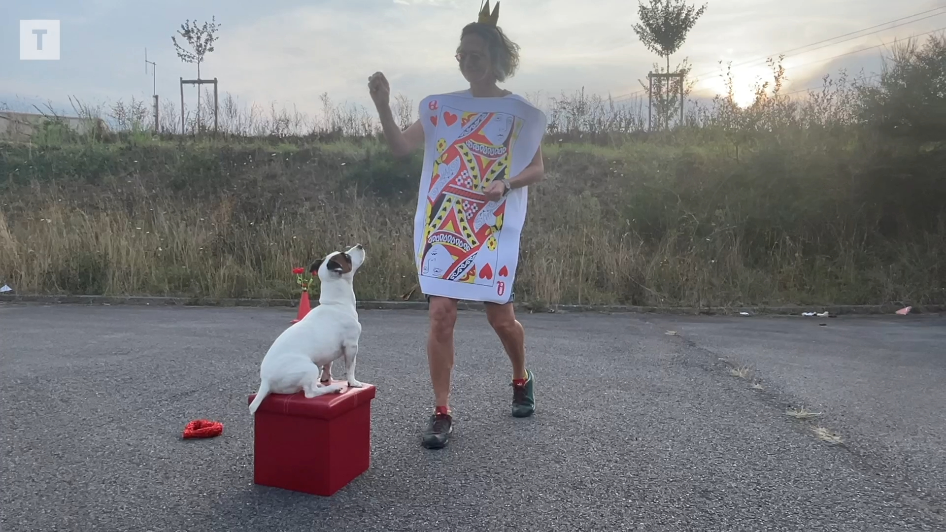« La danse canine crée une relation particulière avec son chien » : chiens et maîtres répètent les dernières pattes de danse avant le concours d'Ergué-Gabéric [Vidéo]