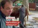 Agriculture - La crème de l'agriculture présente au festival de l'élevage de Brive, ce week-end