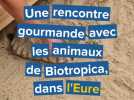 Une rencontre gourmande avec les animaux de Biotropica, dans l'Eure