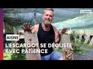 Visite d'une escargotière dans l'Aisne, éloge d'une lenteur qui avance