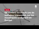 VIDEO. Un nombre record de cas de maladies transmises par les moustiques enregistré en Europe