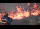 Un jeu vidéo de simulation d'incendie enflamme l'imagination des joueurs
