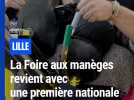 Foire aux manèges de Lille : première nationale, 180 attractions... 6 chiffres pour en faire le tour