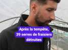 Après la tempête, 39 serres de fraisiers détruites