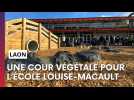 Une cour végétale pour l'école Louise-Macault de Laon