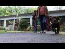 RENTREE SCOLAIRE / Les enfants porteurs de handicap aussi