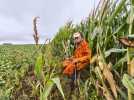 Mesnil-Bruntel : chasse aux sangliers