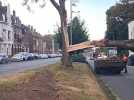 Le vent fait tomber un arbre avenue de Dunkerque à Cambrai
