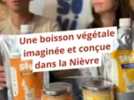 Made in Nevers - Nouvelles recettes et nouveau conditionnement : Sovi et ses pâtes végétales à diluer poursuit son développement