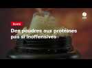 VIDEO. Des poudres aux protéines pas si inoffensives