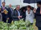 Agriculture - Annie Genevard à Innov-Agri, dans le Loiret : 