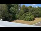 E-40 Unfall