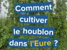 Comment cultiver le houblon dans l'Eure ?