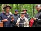 VIDÉO. En forêt de Cerisy, un passionné de mycologie conseille des cueillettes de champignons