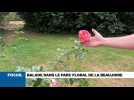 Focus : le parc floral de la Beaujoire