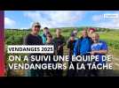 Vendanges : on a suivi une équipe de vendangeurs à la tâche