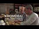 Kromdraai, à la découverte du premier humain