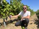 Issu de la nouvelle génération de vigneron dans le Gard rhodanien, Théo Marignane privilégie l'agriculture naturelle