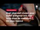 VIDEO. Quel chocolat choisir pour éviter d'ingérer une trop forte dose de cadmium ? On vous répond