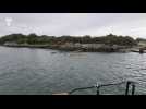 Un voilier secouru par la SNSM dans la rivière d'Auray