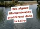 Environnement - 