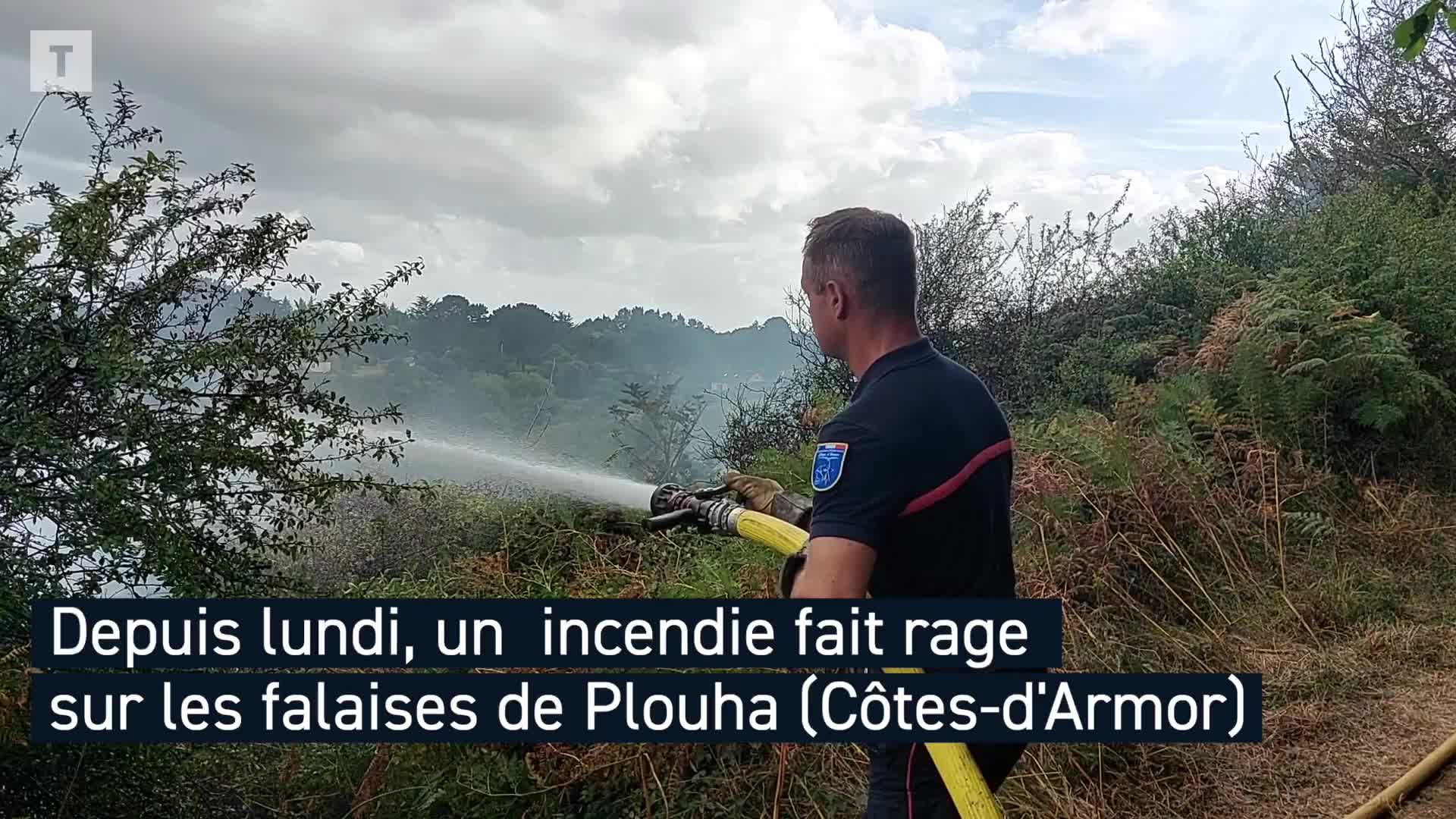 [EN VIDÉO] À Plouha, près d'une trentaine de sapeurs-pompiers tentent d'éteindre les flammes sur les falaises