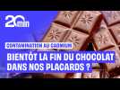 Le cadmium risque-t-il de signer la fin du chocolat dans nos placards ?