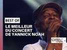Yannick Noah en concert à la Foire de Châlons