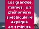 Grandes marées : tout comprendre sur le phénomène en 1 minute