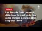 VIDEO. Les feux de forêt peuvent détériorer la qualité de l'air à des milliers de kilomètres rapporte l'Onu