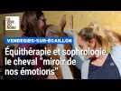 À Vendegies-sur-Écaillon, elles mêlent équithérapie et sophrologie