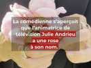 Entreprise - 