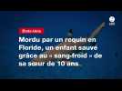 VIDEO. Mordu par un requin en Floride, un enfant sauvé grâce au « sang-froid » de sa soeur de 10 ans