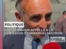 Foire de Chalons. Zemmour dans les allées