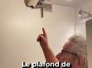 Quand la piscine du voisin se déverse chez le couple de retraités qui vivent en-dessous