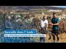 Dans l'Aude, des viticulteurs privés de vendanges