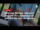 VIDEO. SPA : les familles relais ont recueilli 14 % d'animaux en plus cet été que l'an dernie