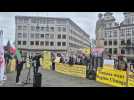 Demo in Brüssel gegen iranisches Regime (November 2024)