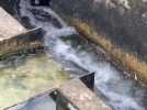 À Carly, au sud de Boulogne, se trouve la seule usine de production d'eau potable de la Côte d'Opale