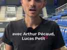 Handball - Ambitions, effectifs, calendrier, recrues : un supplément pour tout savoir de la saison des Septors de Saran en Proligue