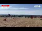 VIDÉO. Les chevaux de trait s'affrontent sur la route européenne de la Suisse normande