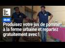Calais : produisez votre propre jus de pomme à la ferme urbaine et repartez gratuitement avec !