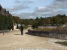 Patrimoine - Azay-le-Rideau, Chenonceau... Comment les châteaux de la Loire s'organisent face au dérèglement climatique